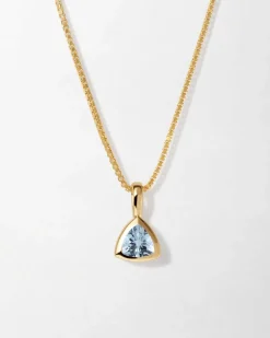 Edge of Ember Birthstones And Zodiac | Engravable | Capricorn Zodiac Necklace
